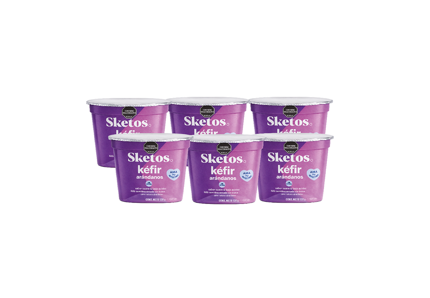 Combo Kéfir Arándanos 120g Sketos · Pack x6