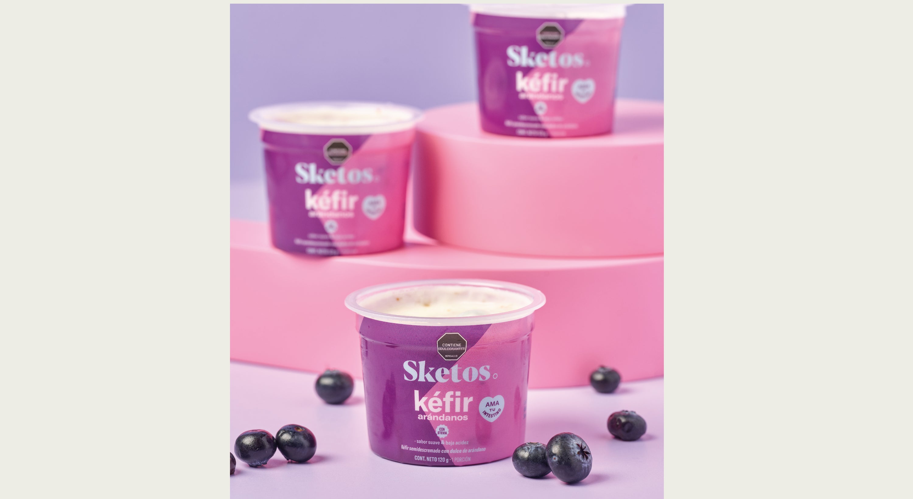 Kéfir Arándanos 120 gr.